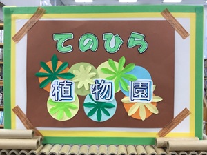 「てのひら植物園」の展示の写真